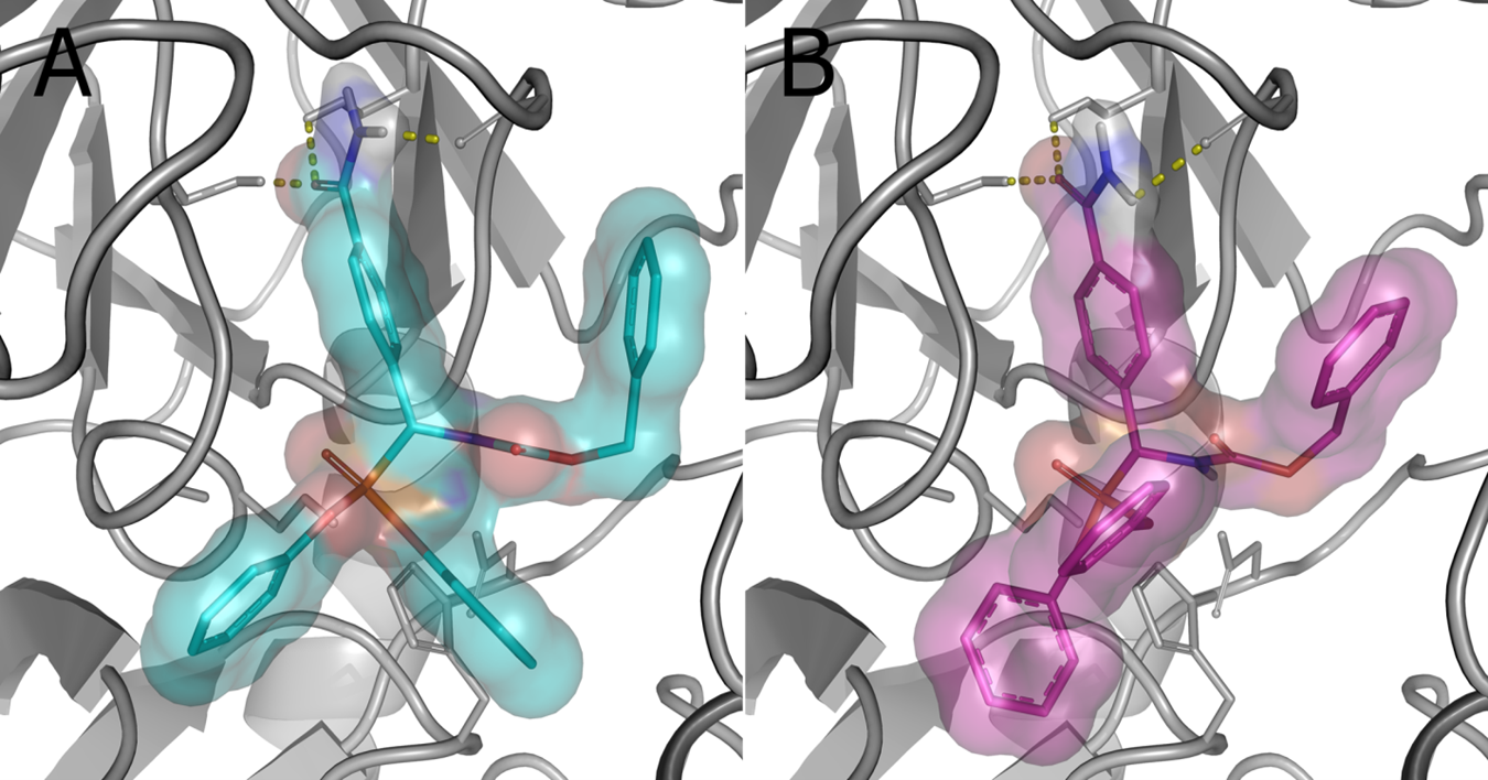 Machine learning generated prostate cancer drug candidate